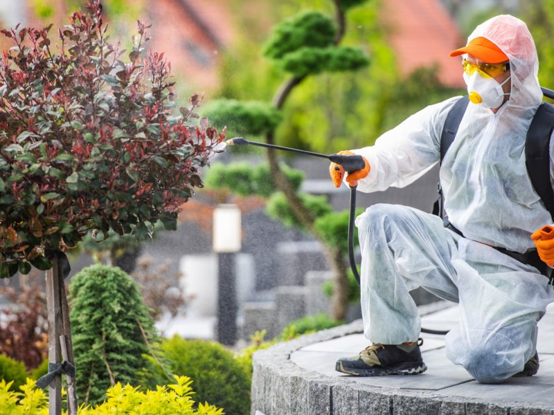 Yatağan Haşere İlaçlama